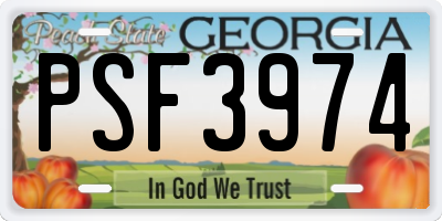 GA license plate PSF3974