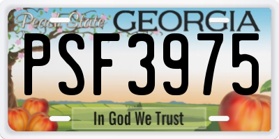 GA license plate PSF3975