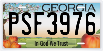 GA license plate PSF3976