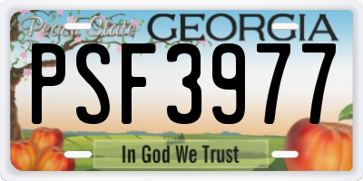 GA license plate PSF3977