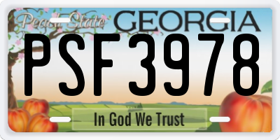 GA license plate PSF3978