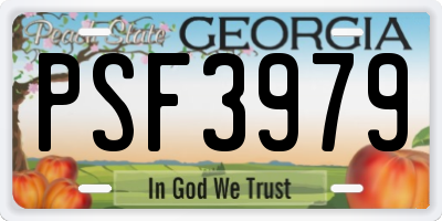 GA license plate PSF3979