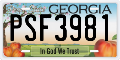 GA license plate PSF3981