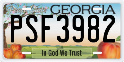 GA license plate PSF3982