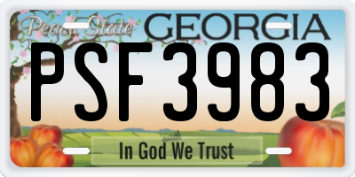 GA license plate PSF3983