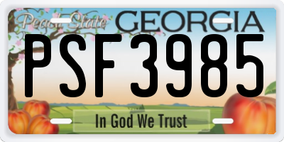 GA license plate PSF3985