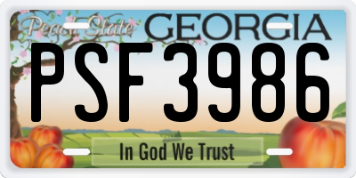 GA license plate PSF3986