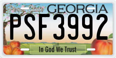 GA license plate PSF3992