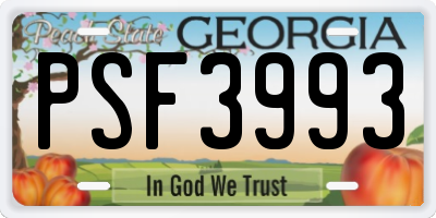 GA license plate PSF3993