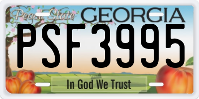 GA license plate PSF3995