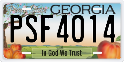 GA license plate PSF4014