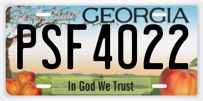GA license plate PSF4022