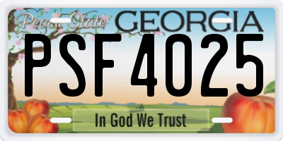 GA license plate PSF4025