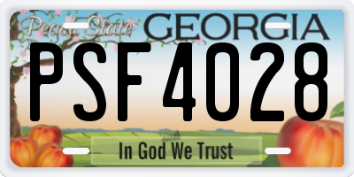GA license plate PSF4028