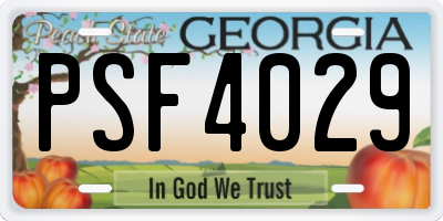 GA license plate PSF4029
