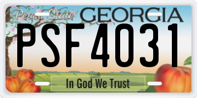 GA license plate PSF4031