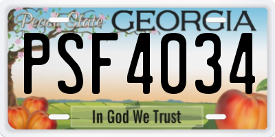 GA license plate PSF4034