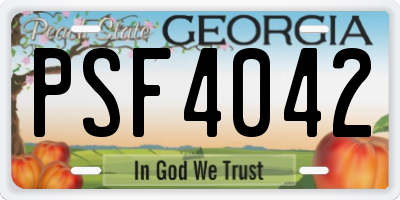 GA license plate PSF4042