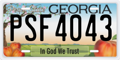 GA license plate PSF4043