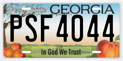 GA license plate PSF4044
