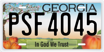 GA license plate PSF4045
