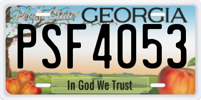 GA license plate PSF4053