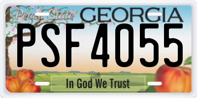 GA license plate PSF4055
