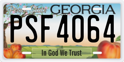 GA license plate PSF4064