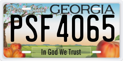 GA license plate PSF4065