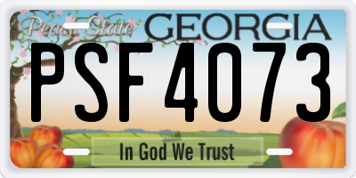 GA license plate PSF4073