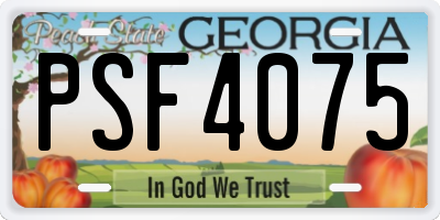 GA license plate PSF4075
