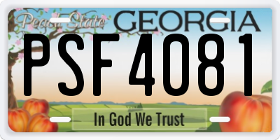 GA license plate PSF4081