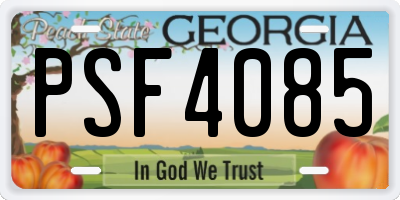 GA license plate PSF4085