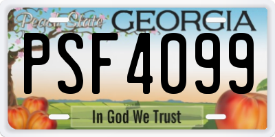 GA license plate PSF4099