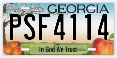 GA license plate PSF4114