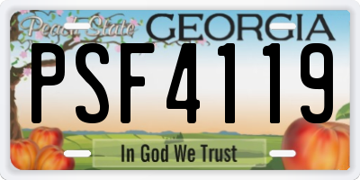 GA license plate PSF4119