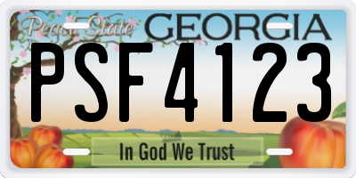 GA license plate PSF4123