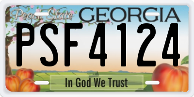 GA license plate PSF4124