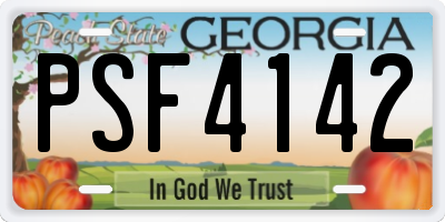 GA license plate PSF4142