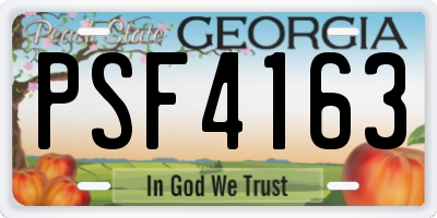 GA license plate PSF4163