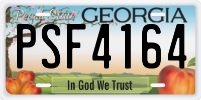 GA license plate PSF4164