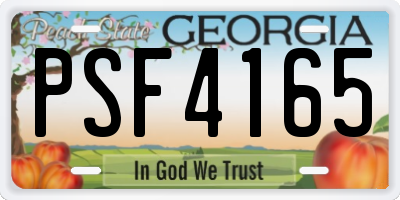 GA license plate PSF4165
