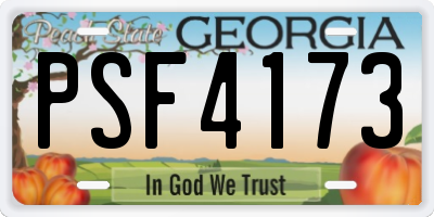 GA license plate PSF4173