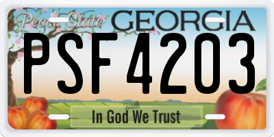 GA license plate PSF4203