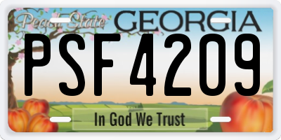 GA license plate PSF4209