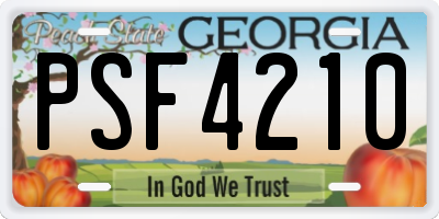 GA license plate PSF4210