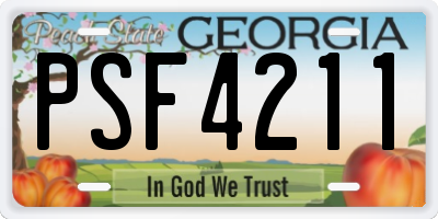 GA license plate PSF4211