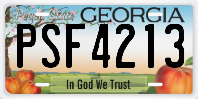 GA license plate PSF4213