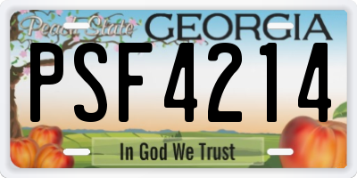 GA license plate PSF4214