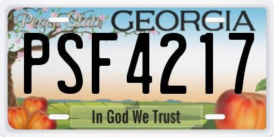 GA license plate PSF4217